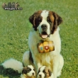 bernard�n